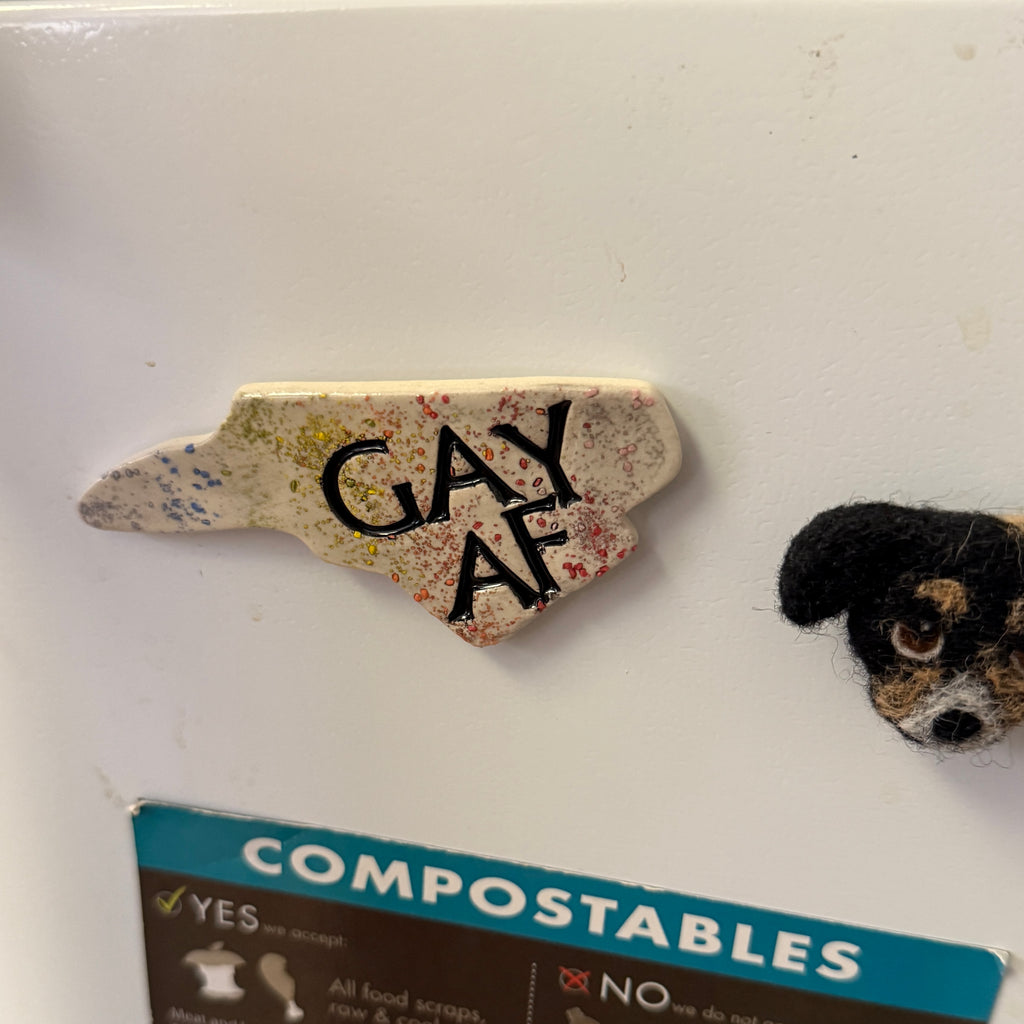 NC PRIDE Charity Magnet - Rainbow Speckles